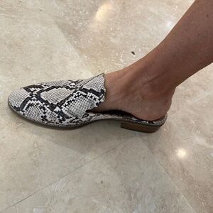 Indigo Road Women's Snakeskin print mules Size 8-8.5